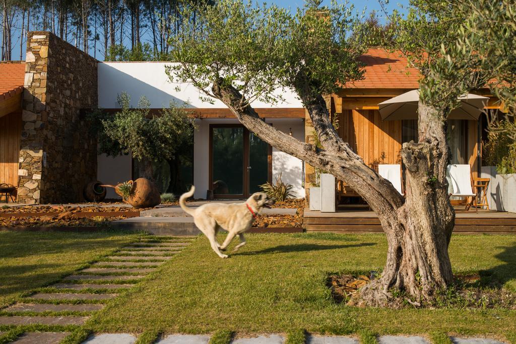 Teima, Alentejo Sw Guest House Sao Teotonio Exterior photo